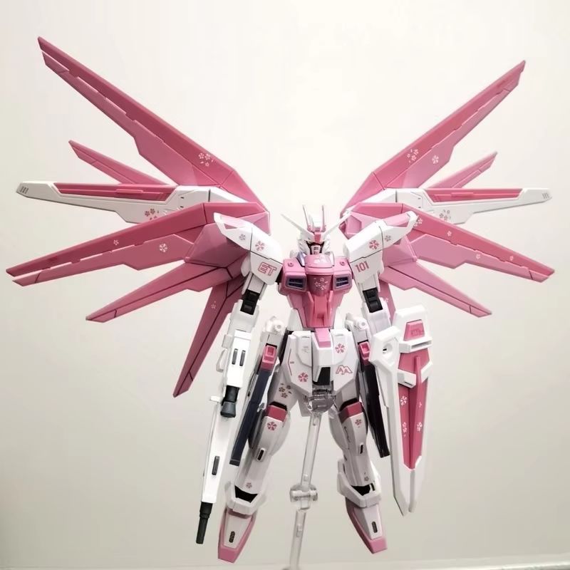 JMS HG 1/144 ZY-06 Freedom Ass - Bandai Model Gundam Hg recension och pris